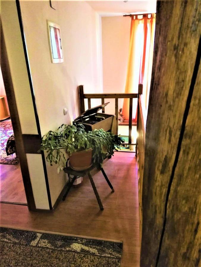 Hotel Dolce Far Niente Braşov Eksteriør billede